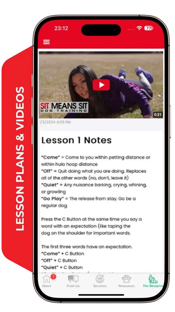 SMS_with label - lesson plans