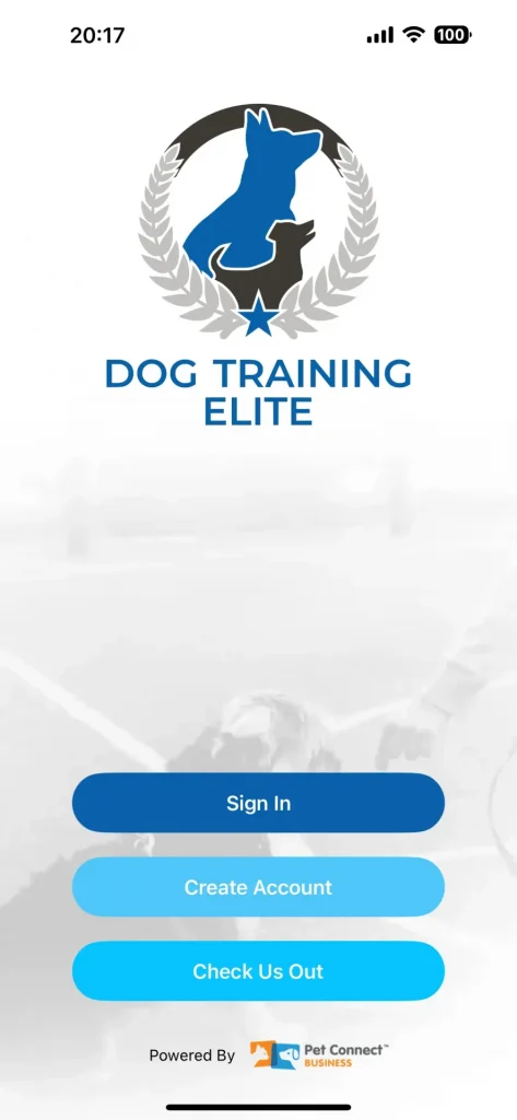 Your Name. Your Logo.