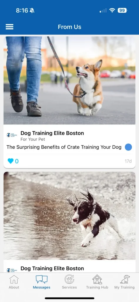 Push Notification Messages