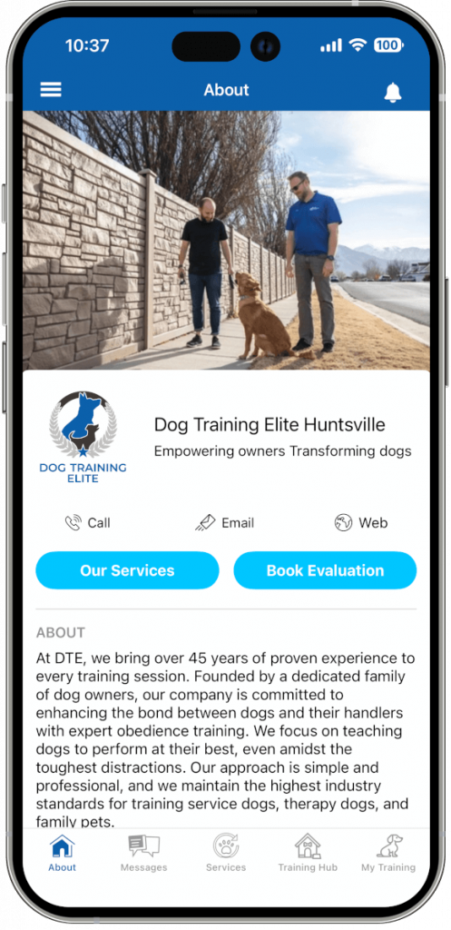 About Description and Call-to-action buttons