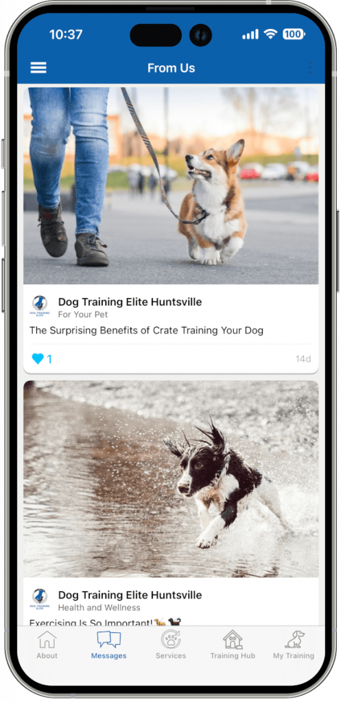 Push Notification Messages
