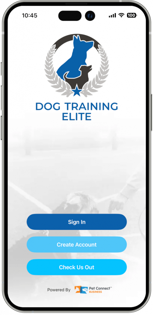 Your Name. Your Logo.