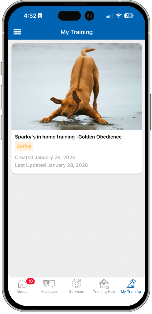 Personalized Experiences